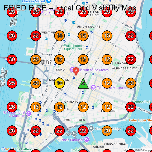 FRIED RICE GeoGrid visibility map for Clothing Store in New York